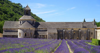 Vydejte se na dovolenou do levandulových polí do Provence.