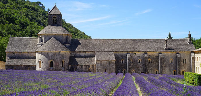 Vydejte se na dovolenou do levandulových polí do Provence.