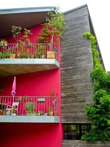 balkon se zelení