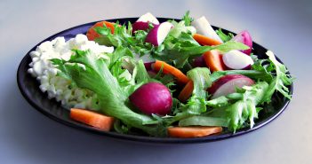zeleninovy salat